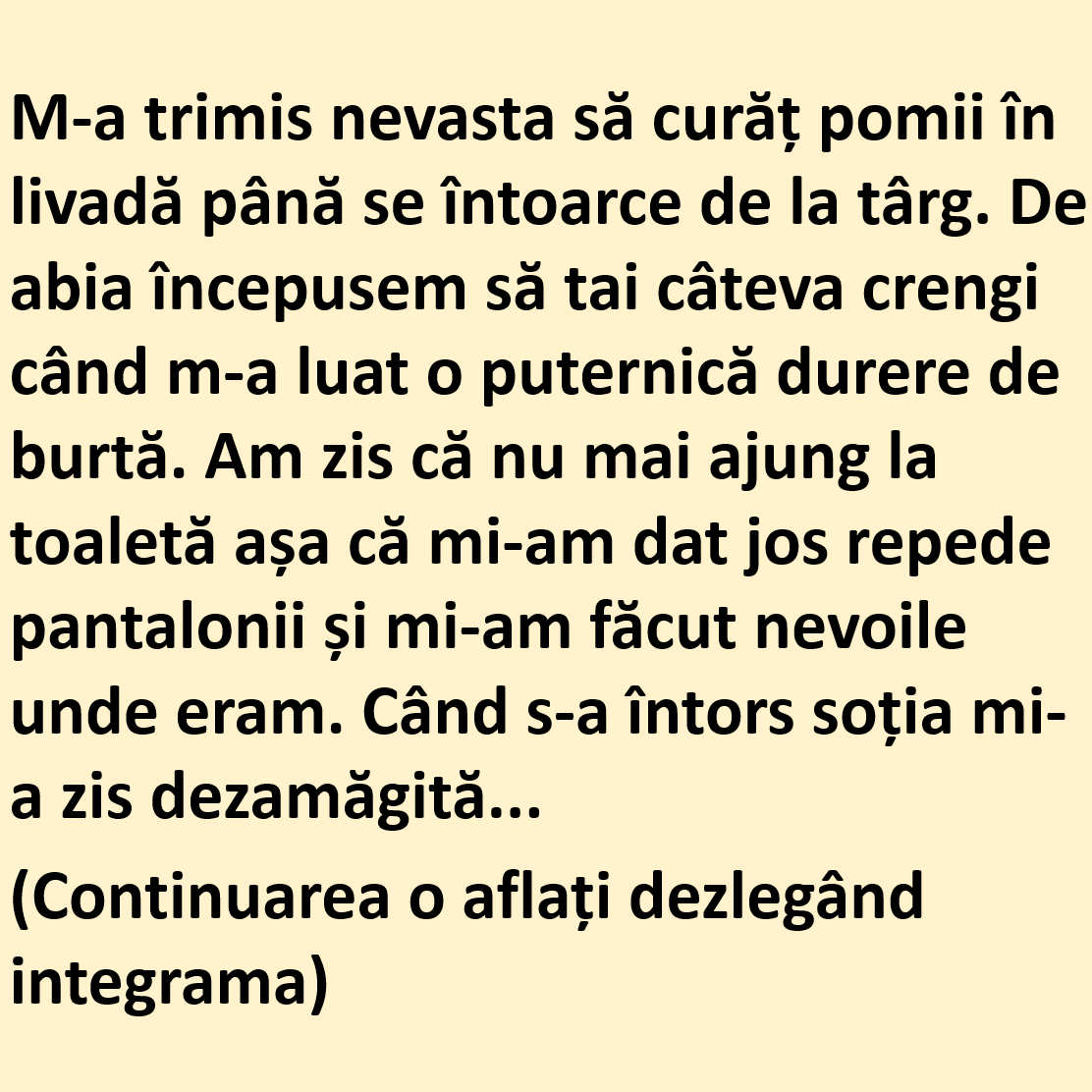 Pus la treabă!